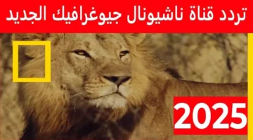 تردد ناشيونال جيوغرافيك الجديد 2025.. استكشف عالم المغامرة والمعرفة بجودة فائقة HD